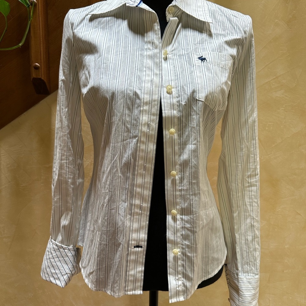 Abercrombie & Fitch Blue Striped Shirt